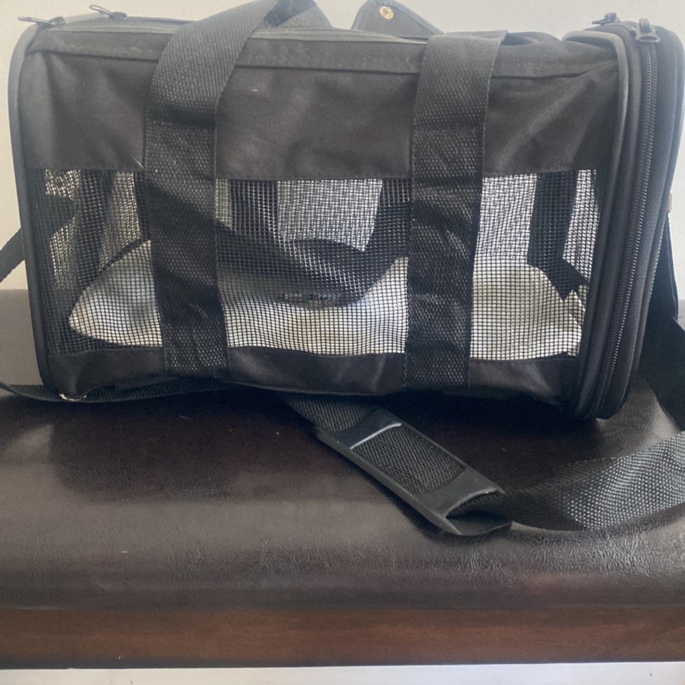 Small Pet Carrier